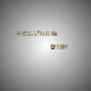 Listen to 不要忘记我爱你 (电视剧《神犬小七》片尾曲) song with lyrics from Zhang Bichen (张碧晨)