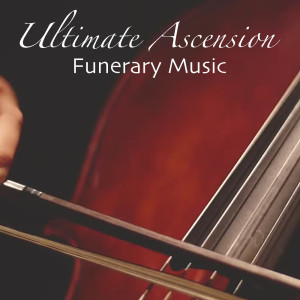 Listen to Great Funerary Sonata - Knocking At The Door - Introduction To The Angels - The Purging Of Mortal Sin I song with lyrics from The Guild of Funerary Violinists