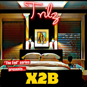 X2b (Explicit)