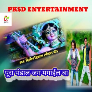 Album Pura Pandal Jagmagail Ba from Dileep Diwana
