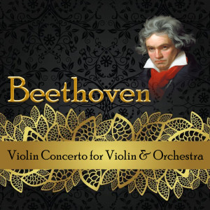 Album Beethoven, Violin Concerto for Violin & Orchestra from Emmy Verhey