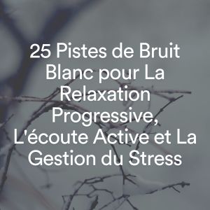 Listen to Bruit Brun Relaxant, pt. 2 song with lyrics from Bruit Brun