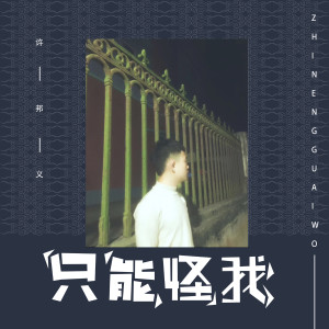Listen to 只能怪我 (伴奏) song with lyrics from 许邦义