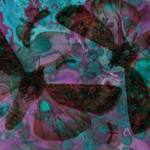 收聽Roula Bolan的I'm Gone歌詞歌曲