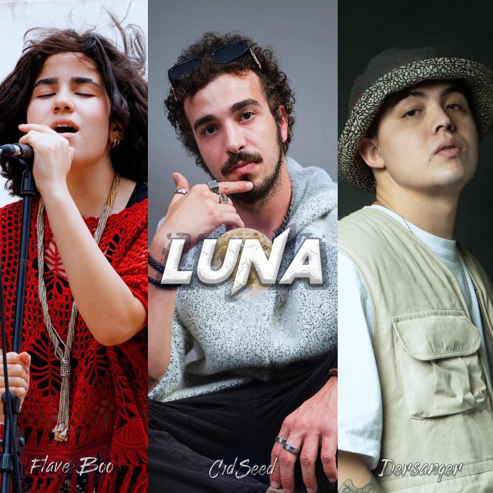 Luna (feat. Flave Boo & Dersanger) (Explicit)