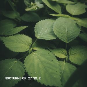 收聽Mario Soliti的Nocturne Op. 27 No. 2歌詞歌曲