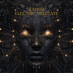 Zafrir的專輯Electric Meditate