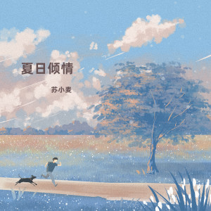 收听苏小麦的寸心寞 (DJ版)歌词歌曲