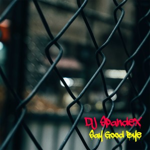 ดาวน์โหลดและฟังเพลง Say Good Bye พร้อมเนื้อเพลงจาก DJ Spandex