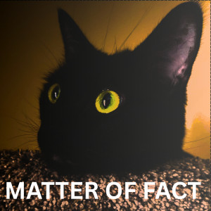 Listen to Matter of Fact song with lyrics from Jay Wiley