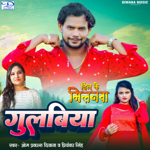Listen to Gulabiya (From "Dil Ke Milanaa") song with lyrics from Om Prakash Diwana