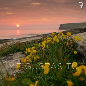 Listen to Me Gustas Tu (Sped Up) song with lyrics from Waq1ux