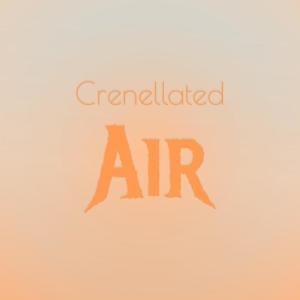 Album Crenellated Air from Various