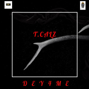 Listen to Dey 4 Me song with lyrics from T.Calz