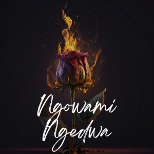 Album Ngowami Ngedwa from Jordan
