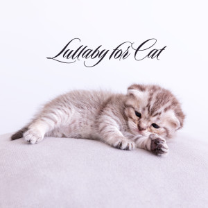 Calm Pets Music Academy的专辑Lullaby for Cat (Gentle Music for Stress and Sleep)