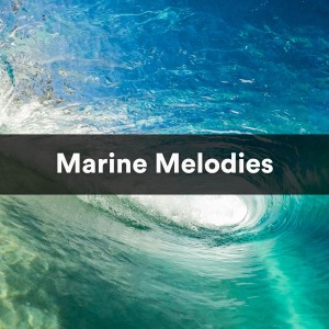 Album Marine Melodies (Ocean waves for sleep) from Ocean in HD