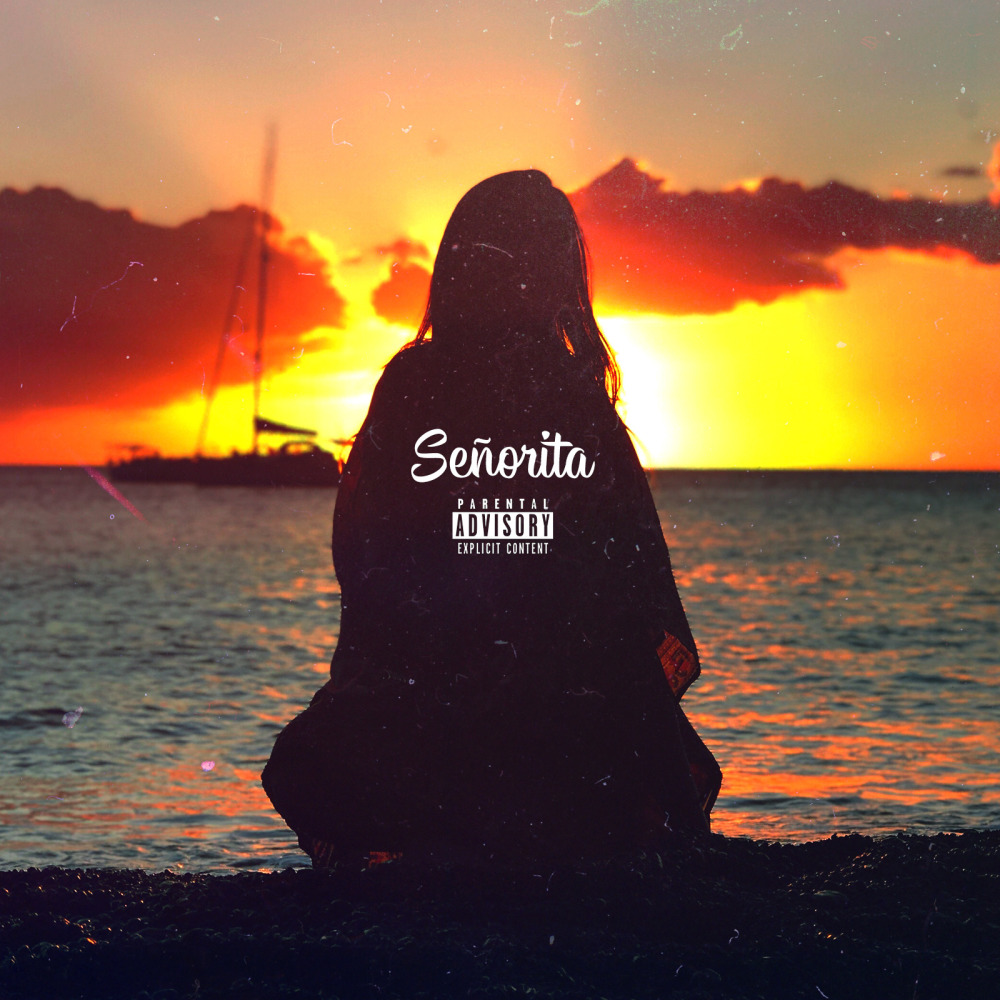 Señorita (Explicit)