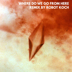 Album Where Do We Go from Here (Robot Koch Remix) from The Great Escape