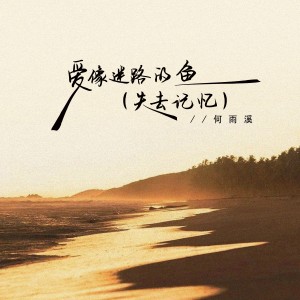 Album 爱像迷路的鱼（失去记忆） from 何雨溪