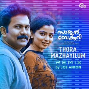 Dengarkan Thora Mazhayilum Remix (Remix Version) lagu dari Vineeth Sreenivasan dengan lirik