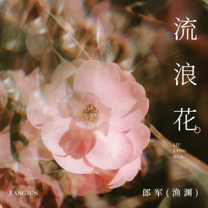 Listen to 流浪花 song with lyrics from 郎军