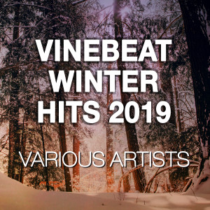 อัลบัม VineBeat Winter Hits 2019 ศิลปิน Various