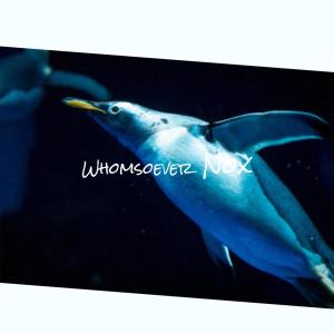 Listen to Whomsoever Nox song with lyrics from Flen Rhob