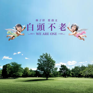 收聽林子祥的白頭不老歌詞歌曲
