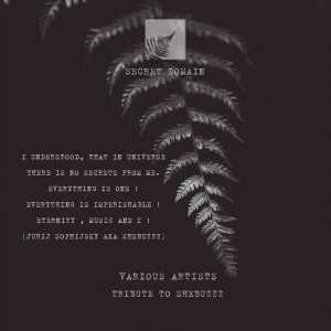 ดาวน์โหลดและฟังเพลง Light in the End of the Tunnel พร้อมเนื้อเพลงจาก Amritone