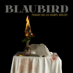 Listen to Pendant que les champs brulent song with lyrics from BlauBird