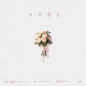 魏宏宇的專輯玫瑰寶貝