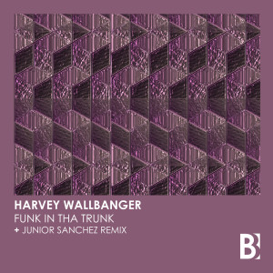 Listen to Funk In Tha Trunk (Junior Sanchez Remix) song with lyrics from Harvey Wallbanger