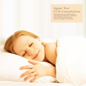 CCM Piano Collection With The Sleep Of Agape Tree dari Various Artists