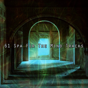 อัลบัม 61 Spa For The Mind Tracks ศิลปิน Entspannungsmusik