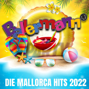 Listen to Wir feiern den DJ song with lyrics from Marry