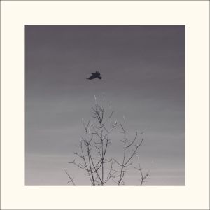 Album CORB (Radio Edit) from 