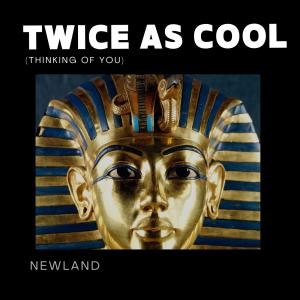 Newland的專輯Twice as cool (Thinking of you)