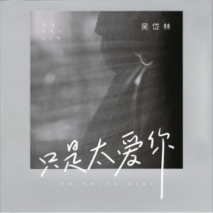 Album 只是太爱你 oleh 吴岱林