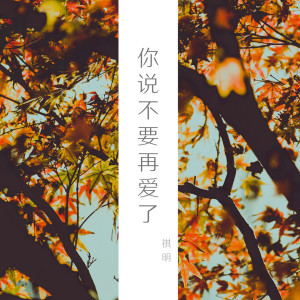 Dengarkan lagu 你说不要再爱了 (DJ咚鼓版) nyanyian 祺明 dengan lirik