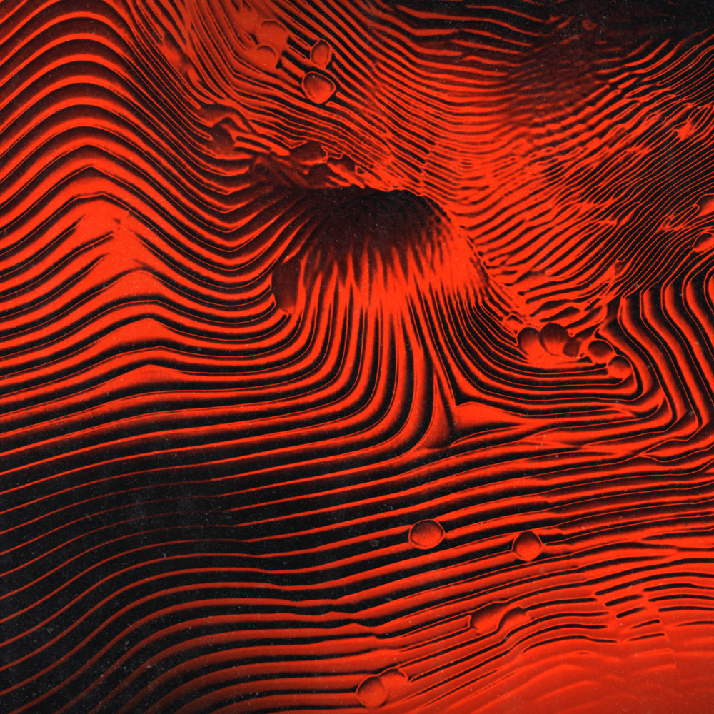 Pardon (Digital Bonus)