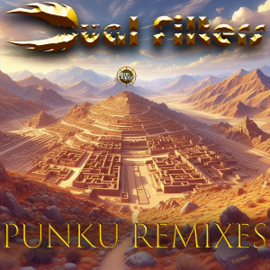 Dual Filters的專輯Punku Remixes