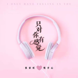 收聽DJR7的只對你有感覺 (DJR7版)歌詞歌曲