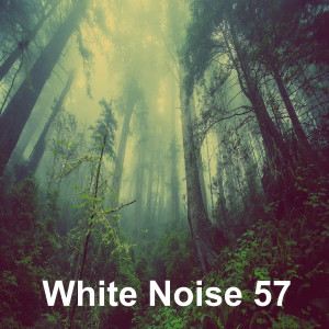 อัลบัม 모닥불 소리 (빗소리 백색소음 화이트노이즈 수면 자장가) ศิลปิน White Noise