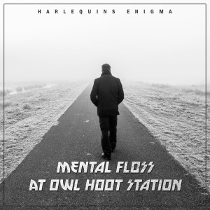 Listen to Mental floss at owl hoot station song with lyrics from Harlequins Enigma