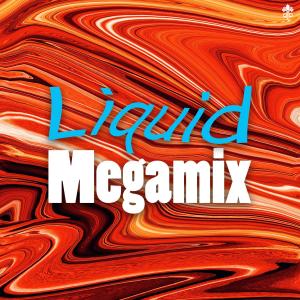Album Liquid Megamix oleh Kasger