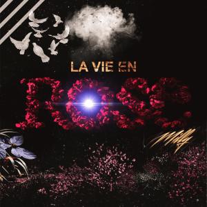 Listen to La vie en Rose (Explicit) song with lyrics from Milly
