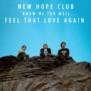 Album Know Me Too Well from New Hope Club