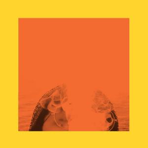 Album Ando flex (Explicit) from Demxn