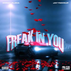 JayyGoinUp的專輯Freak In You (feat. Jayygoinup) [Explicit]